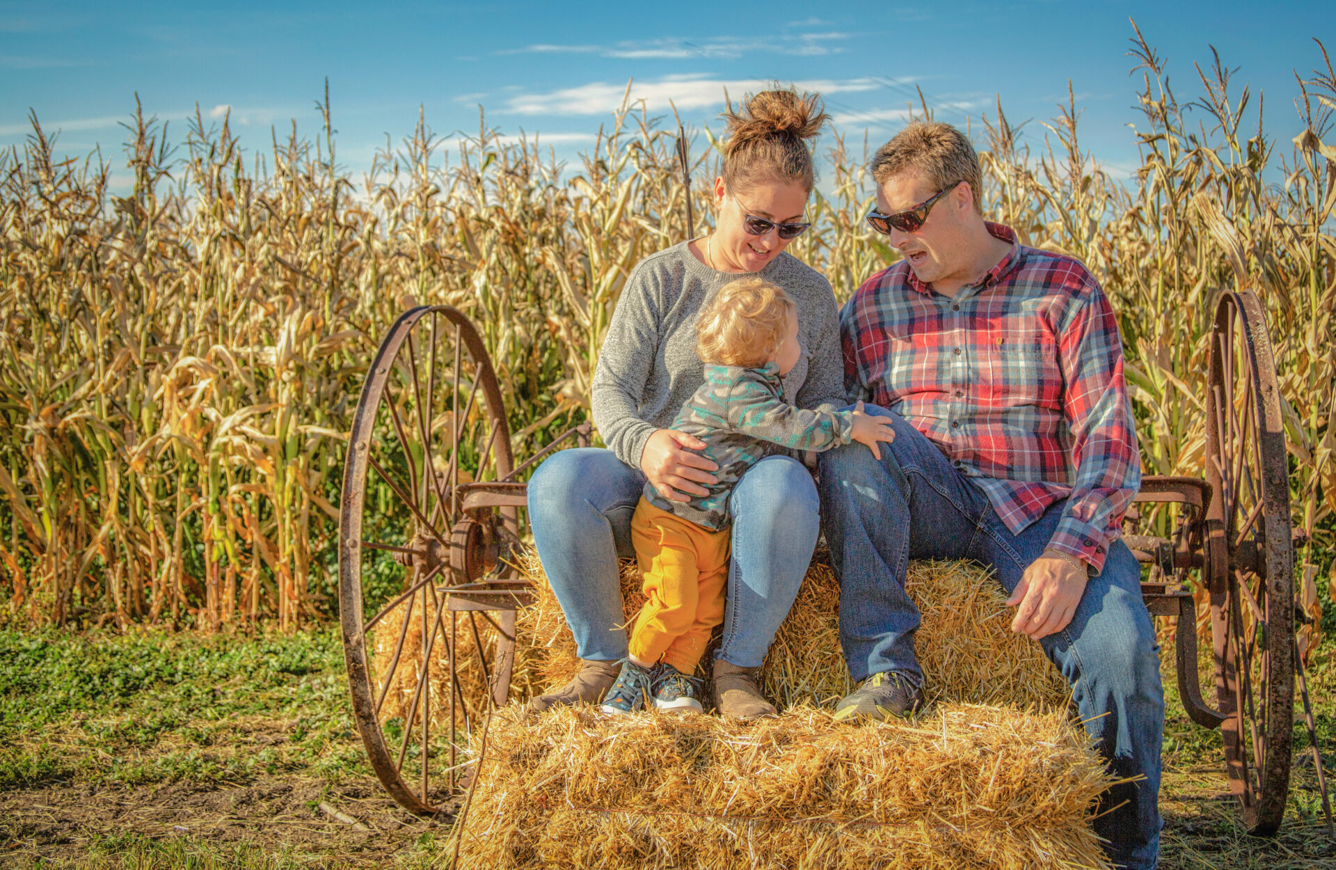 Family at Corn Maze